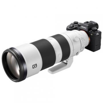 Sony A7R IV + Sony FE 200-600 mm f / 5.6 - 6.3...