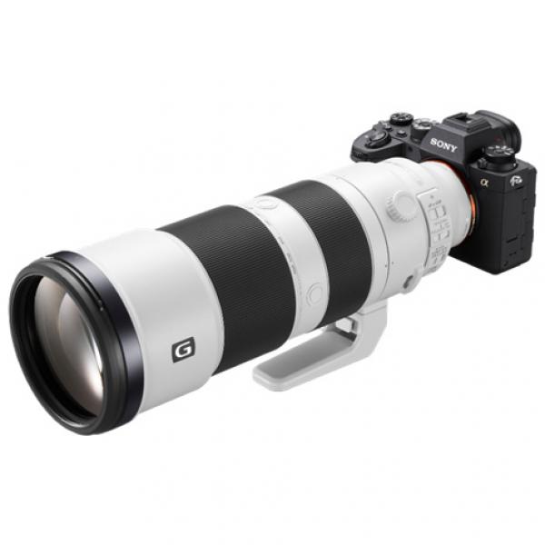 Sony A7R IV + Sony FE 200-600 mm f / 5.6 - 6.3 G OSS