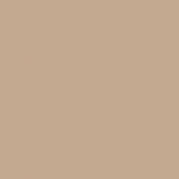 COLORAMA 2.72 X 11M CAPPUCCINO - COP152 -...
