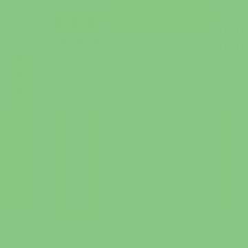 COLORAMA 2.72 X 11M SUMMER GREEN - COP159 -...