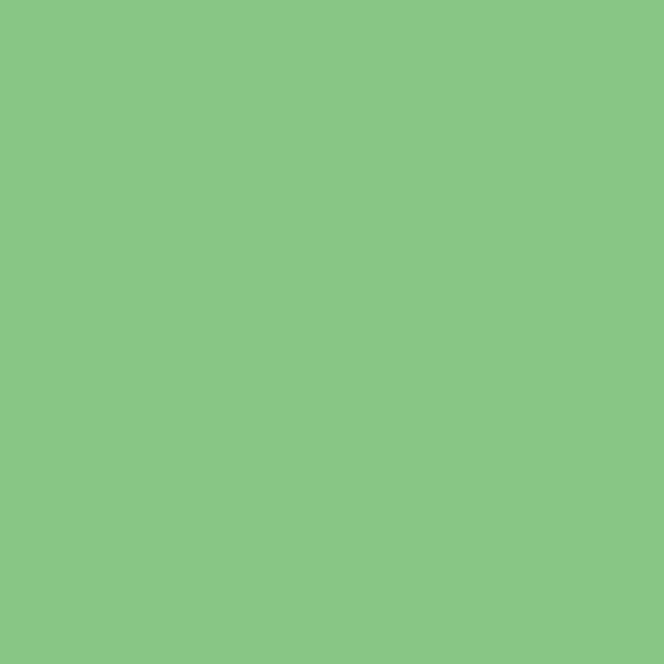 COLORAMA 2.72 X 11M SUMMER GREEN - COP159 - RETRAIT EN MAGASIN UNIQUEMENT!
