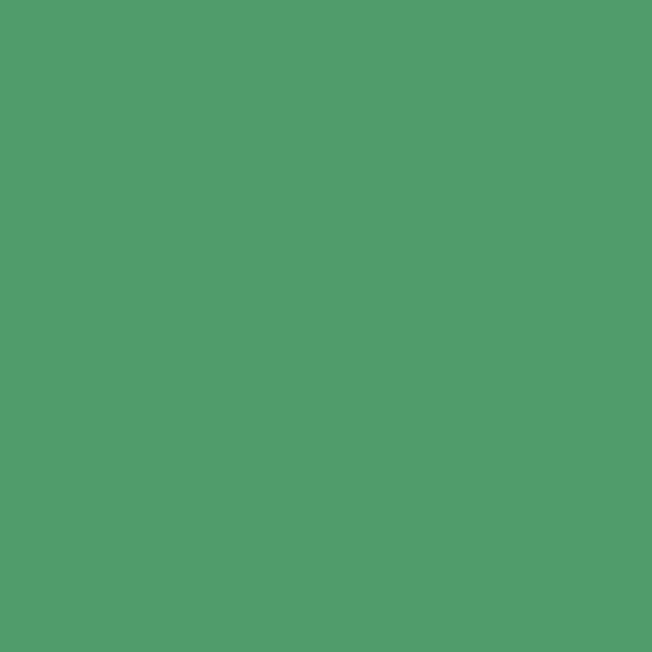 COLORAMA 2.72 X 11M APPLE GREEN - COP164 - RETRAIT EN MAGASIN UNIQUEMENT!