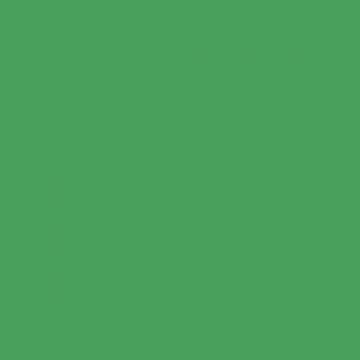 COLORAMA 2.72 X 11M CHROMAGREEN - COP133