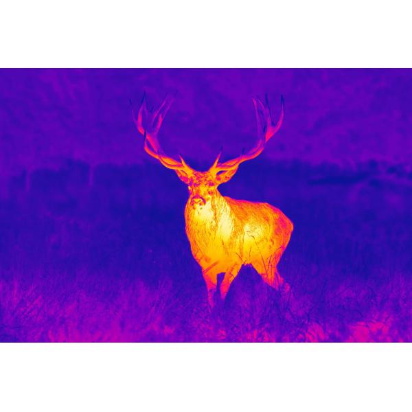 GPO THERMAL DEVICE SPECTRA TI35