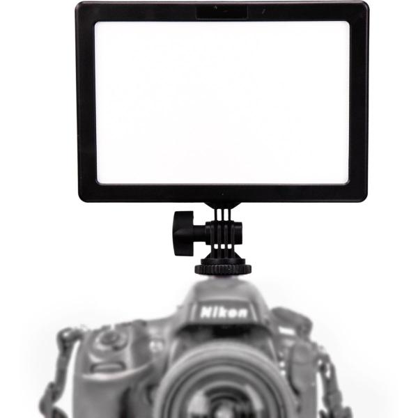 LedGo E116CII Bi-color (high output)
